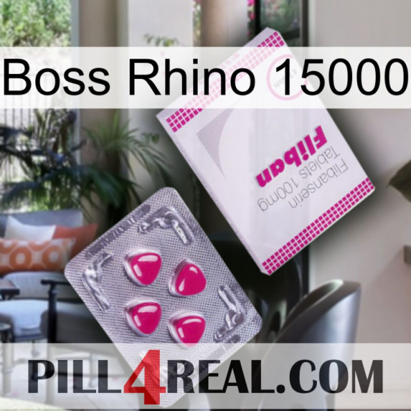 Boss Rhino 15000 32.jpg